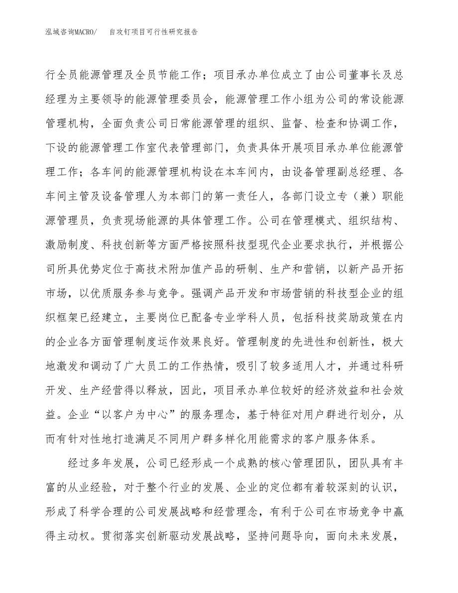 自攻钉项目可行性研究报告样例参考模板.docx_第5页