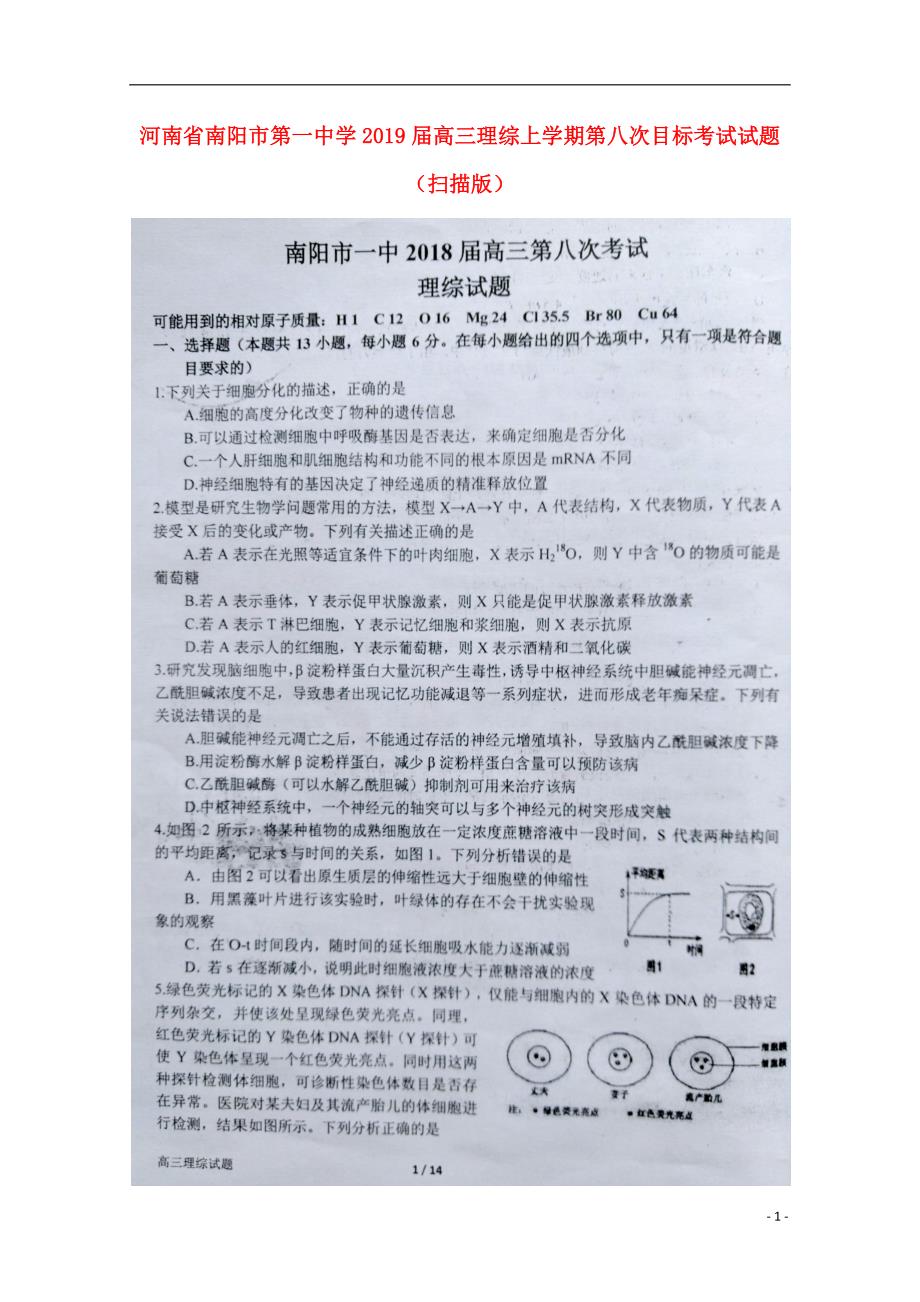 河南省2019届高三理综上学期第八次目标考试试题（扫描版）_第1页