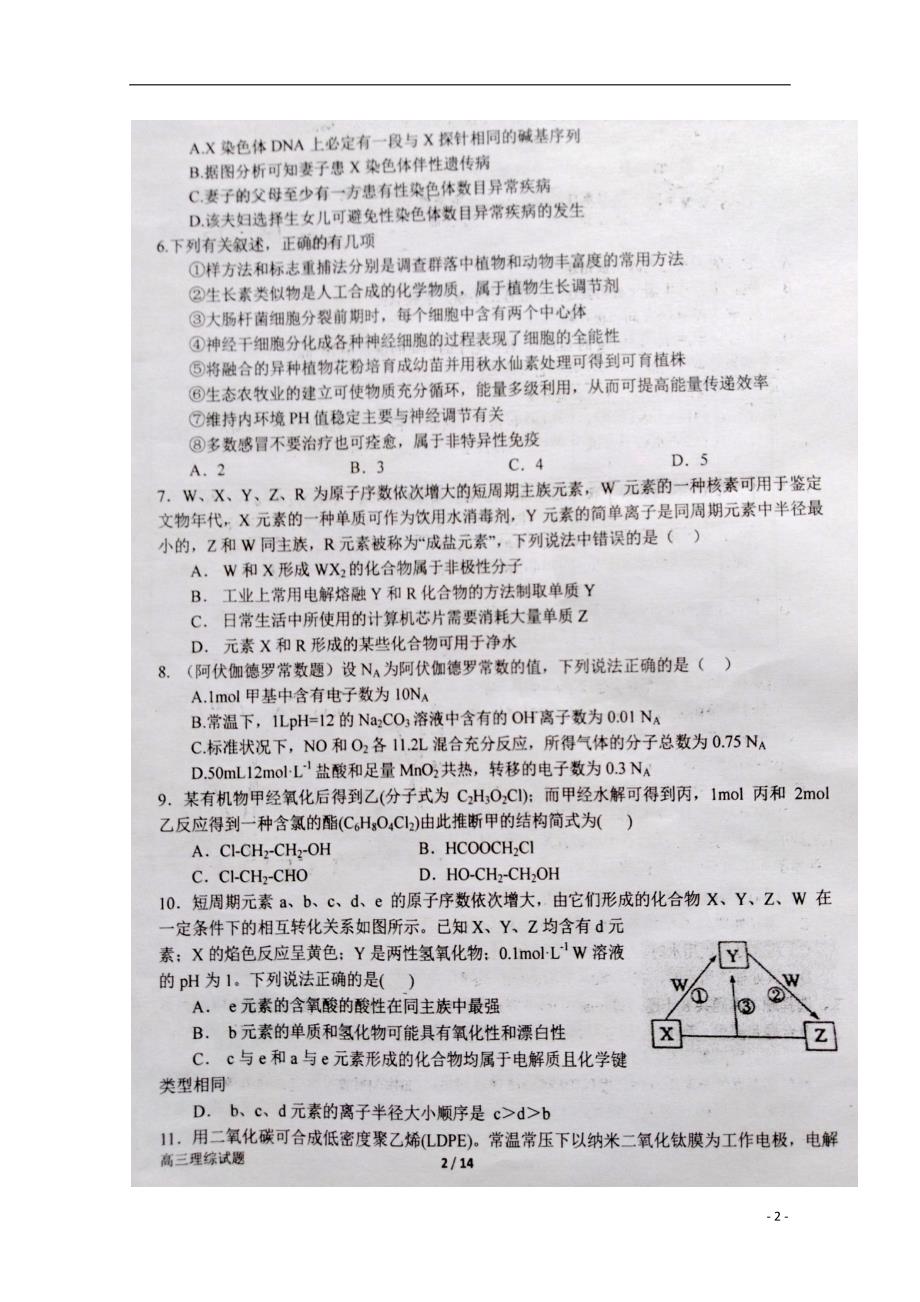 河南省2019届高三理综上学期第八次目标考试试题（扫描版）_第2页