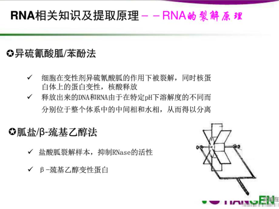 天根RNA提取试剂盒介绍_第1页