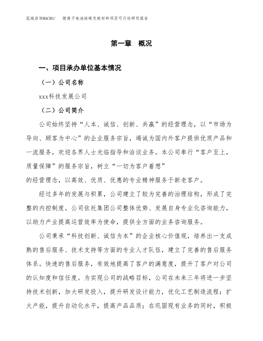 薯片项目可行性研究报告样例参考模板.docx_第4页