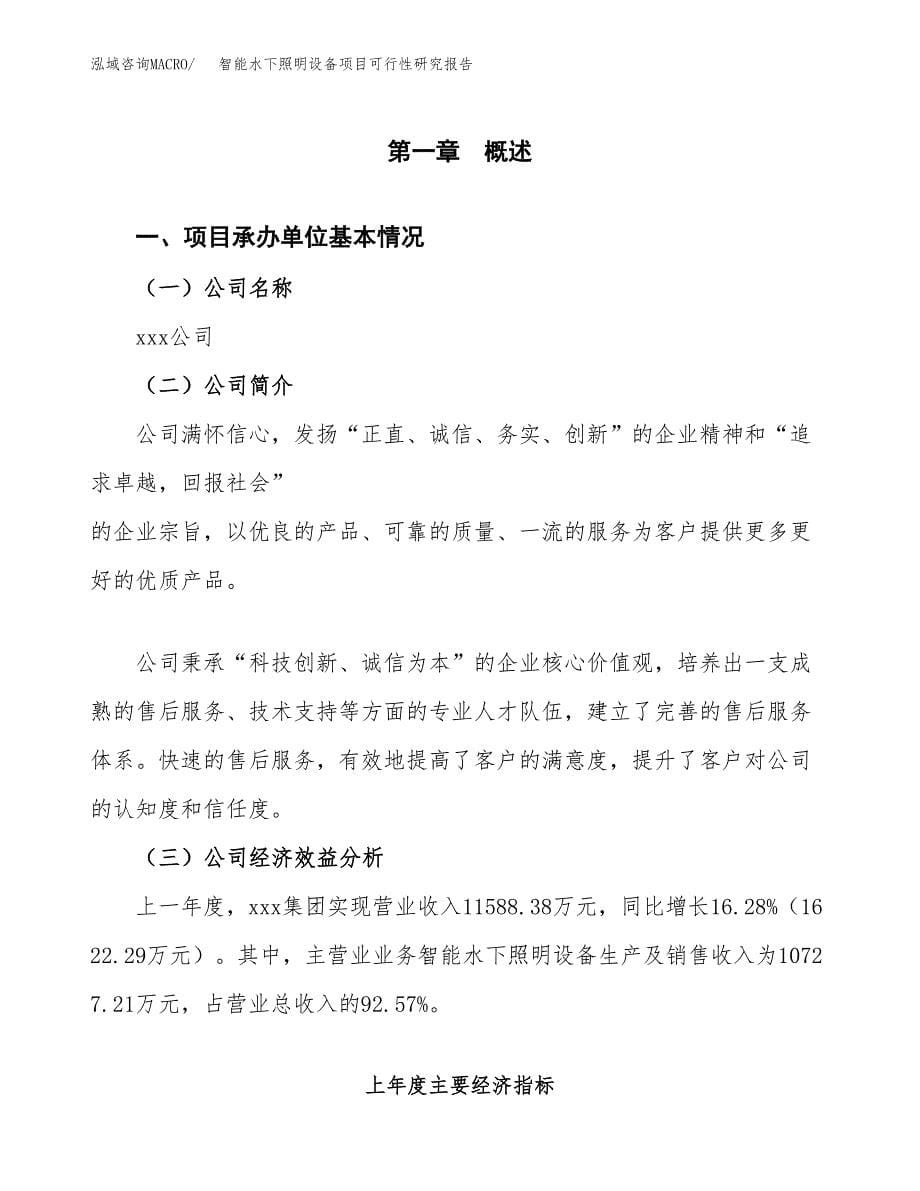 智能水下照明设备项目可行性研究报告样例参考模板.docx_第5页