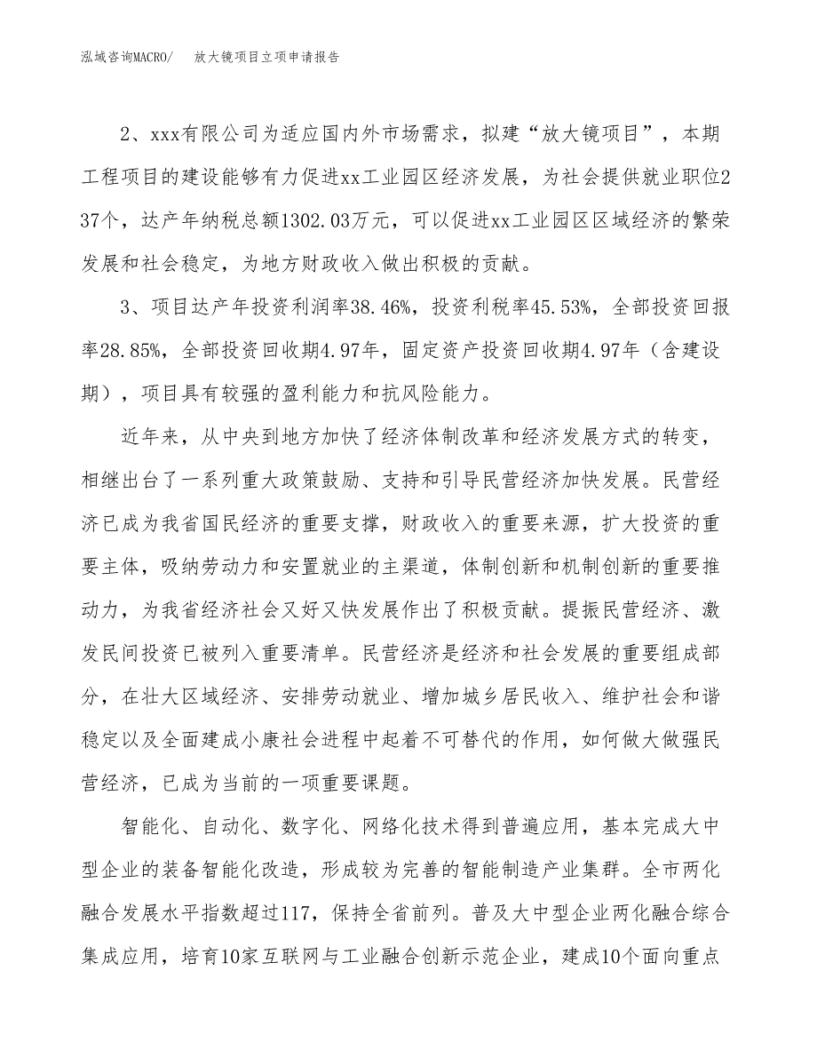 放大镜项目立项申请报告样例参考.docx_第4页