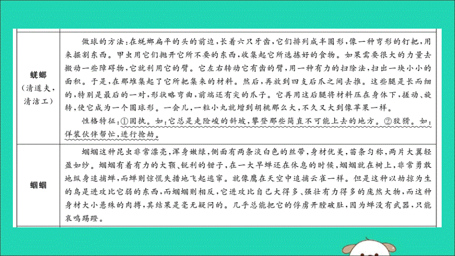 2019中考语文名著导读专题讲解七昆虫记课件新人教版20190430216_第3页