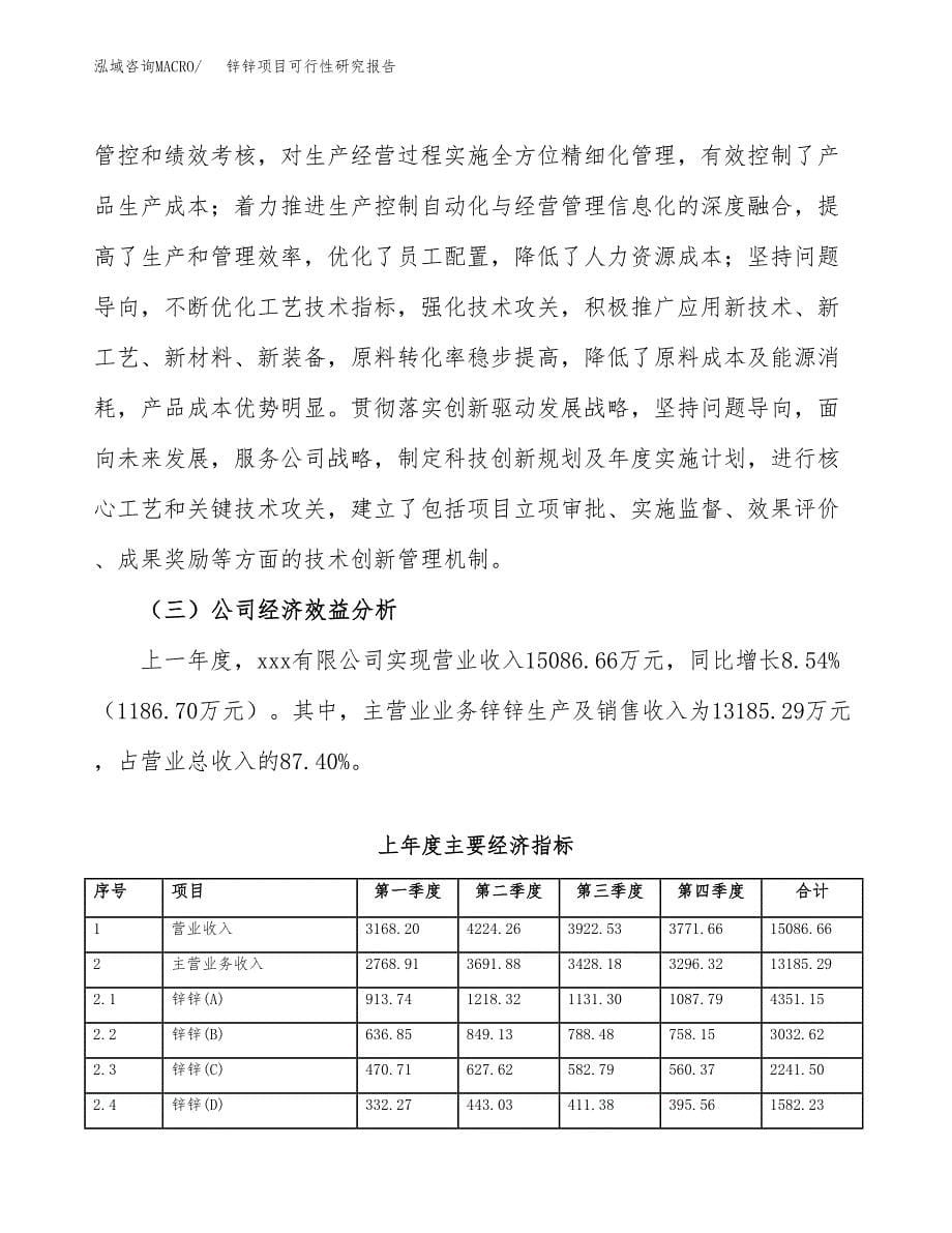 锌锌项目可行性研究报告样例参考模板.docx_第5页