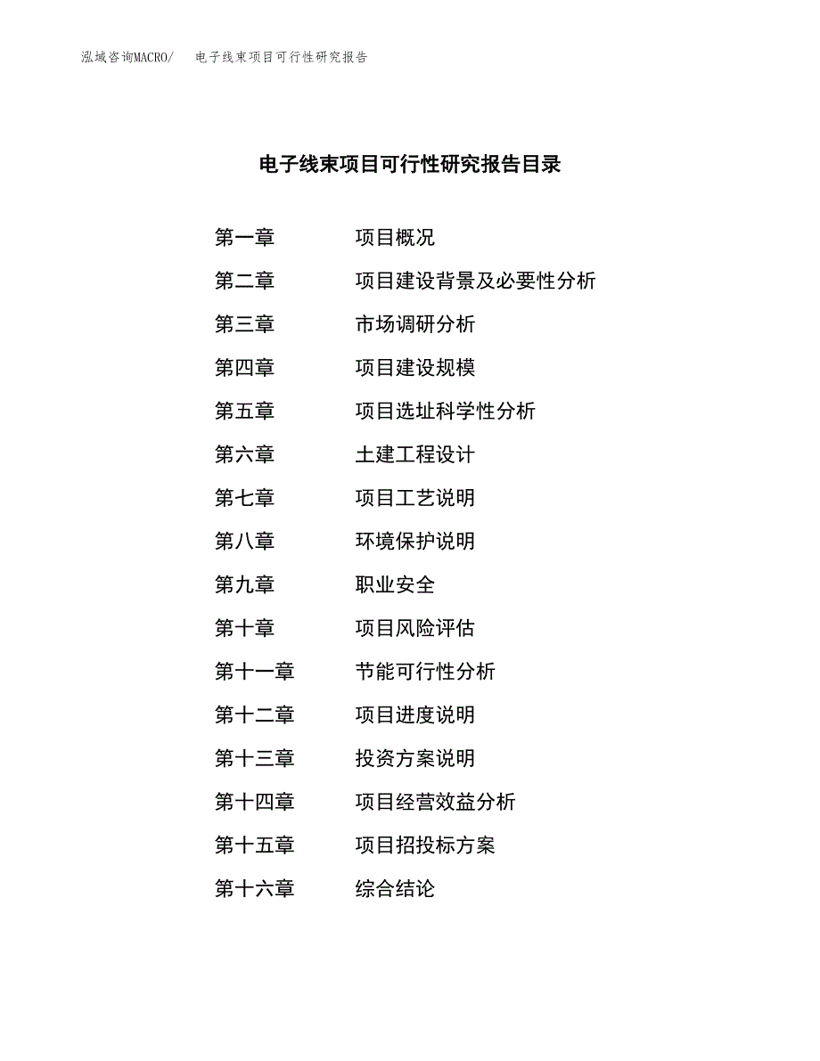 电子线束项目可行性研究报告样例参考模板.docx_第4页