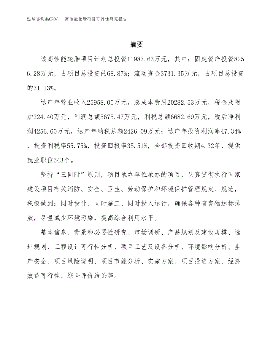 高性能轮胎项目可行性研究报告样例参考模板.docx_第2页