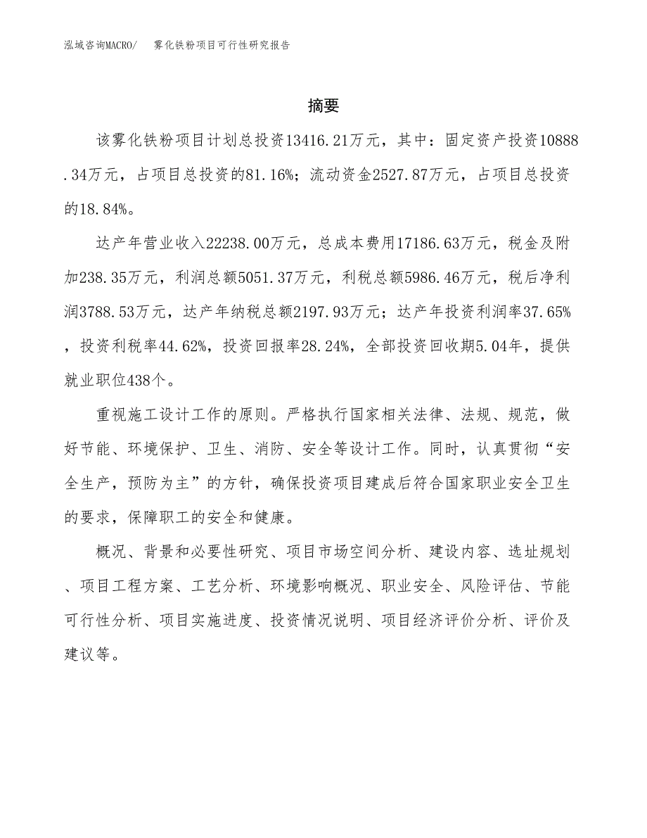 雾化铁粉项目可行性研究报告样例参考模板.docx_第2页