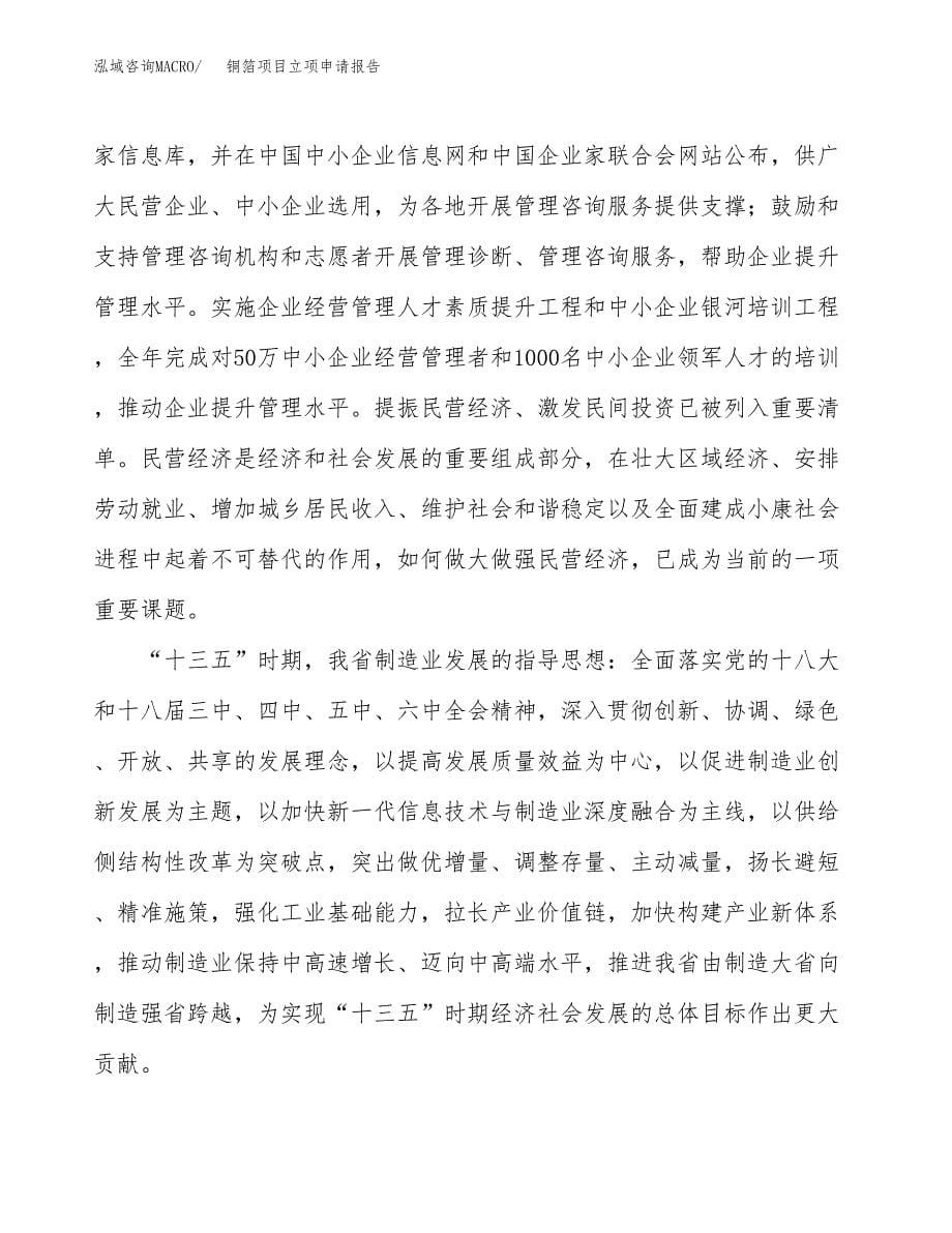 铜箔项目立项申请报告样例参考.docx_第5页