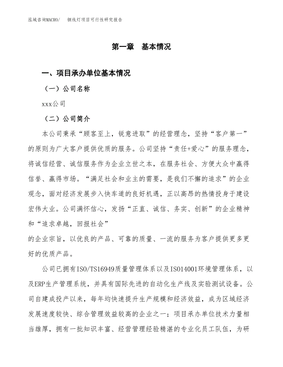 铜线灯项目可行性研究报告样例参考模板.docx_第4页