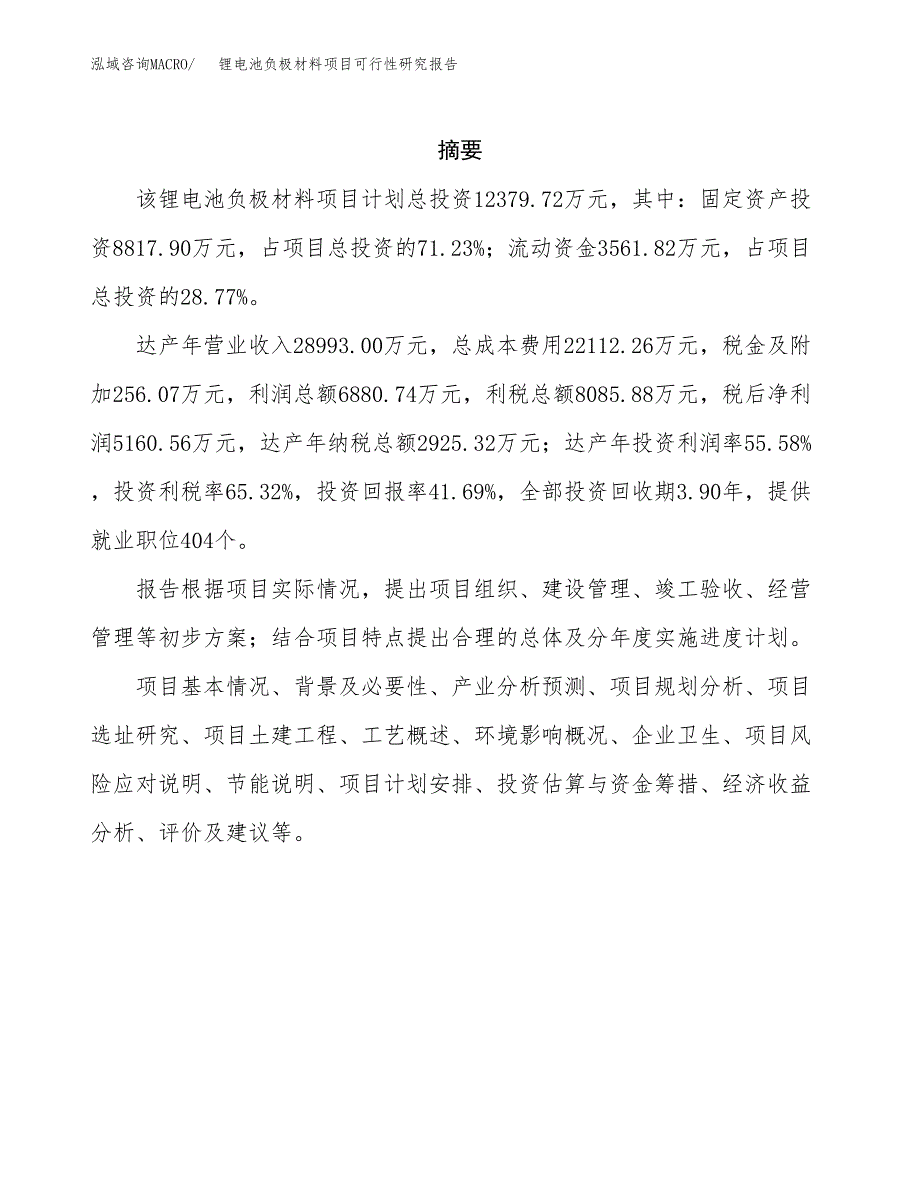 锂电池负极材料项目可行性研究报告样例参考模板.docx_第2页