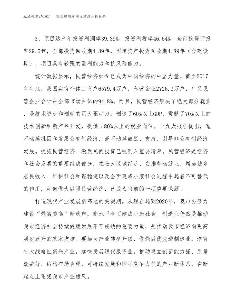 乳白玻璃液项目建设分析报告范文(项目申请及建设方案).docx_第5页