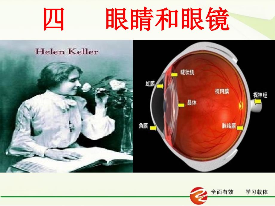 人教版八年级物理上册课件：5.4 眼睛和眼镜（共21张PPT）_第3页