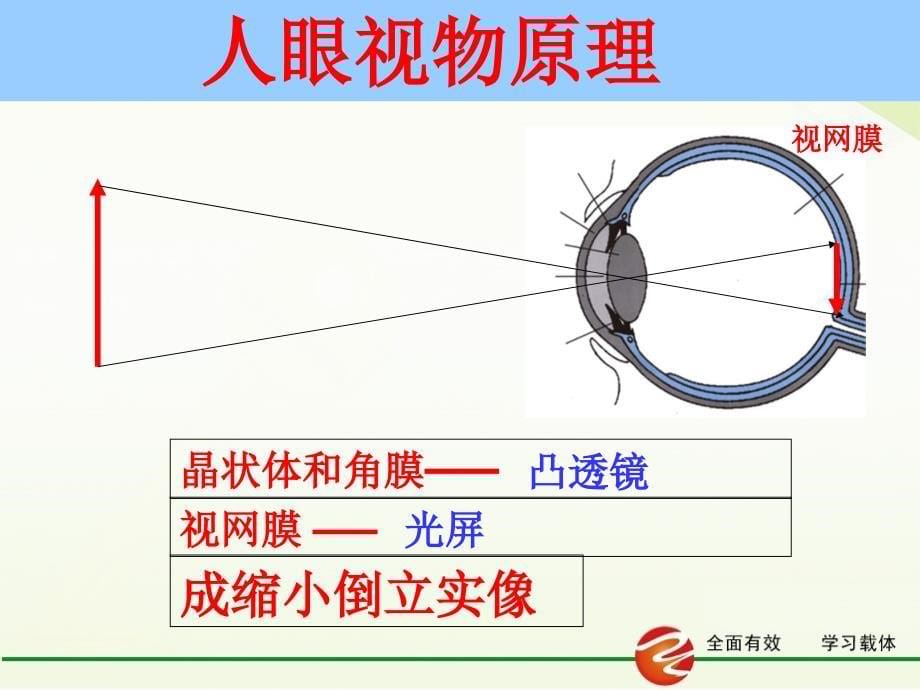 人教版八年级物理上册课件：5.4 眼睛和眼镜（共21张PPT）_第5页