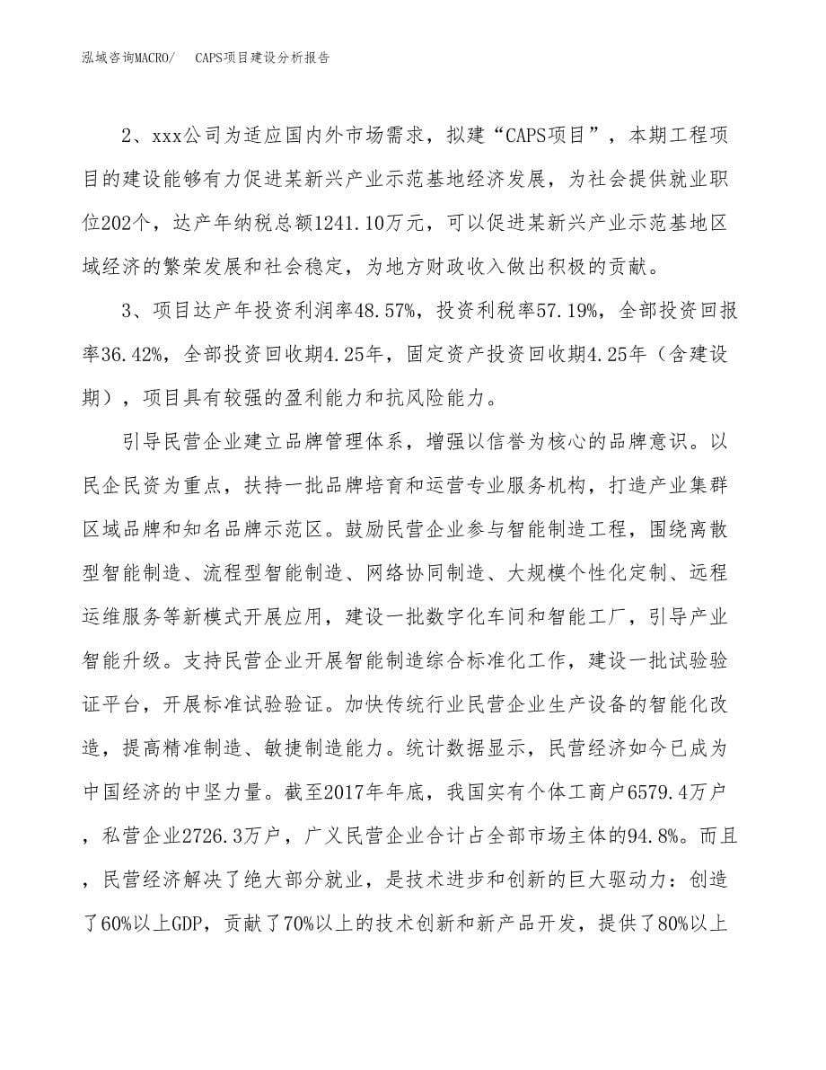 CAPS项目建设分析报告范文(项目申请及建设方案).docx_第5页