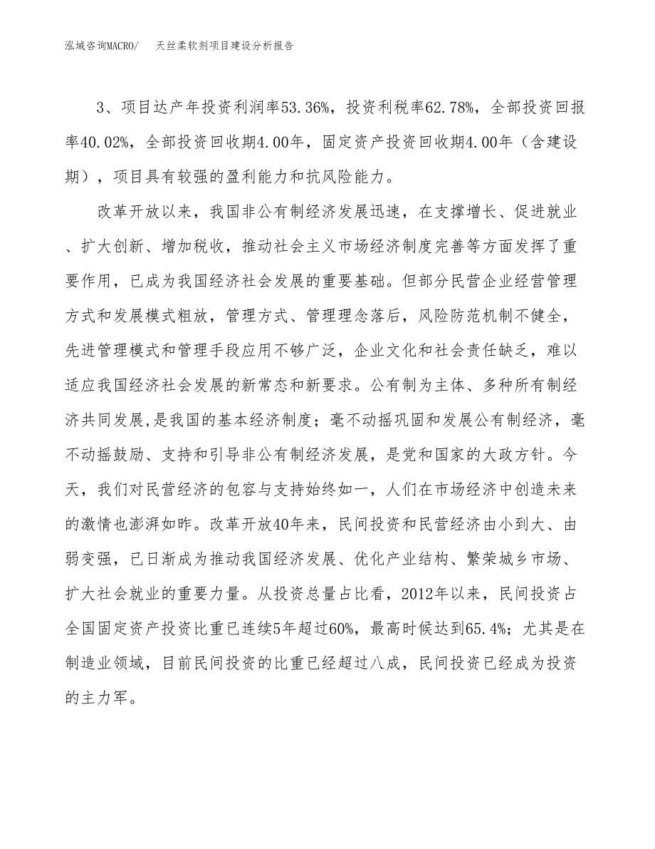 天丝柔软剂项目建设分析报告范文(项目申请及建设方案).docx_第5页