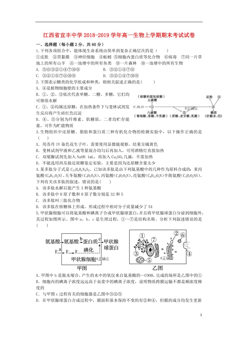 江西省宜丰中学2018_2019学年高一生物上学期期末考试试卷_第1页