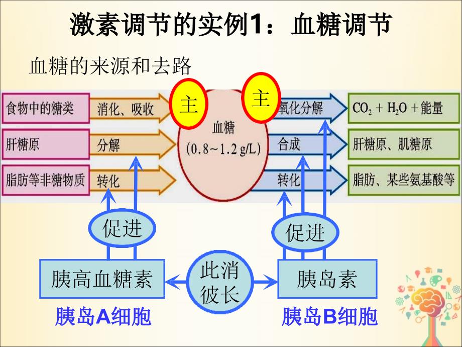 江西省南昌县高中生物第二章动物和人体生命活动的调节2.2通过激素的调节课件新人教版必修3_第4页