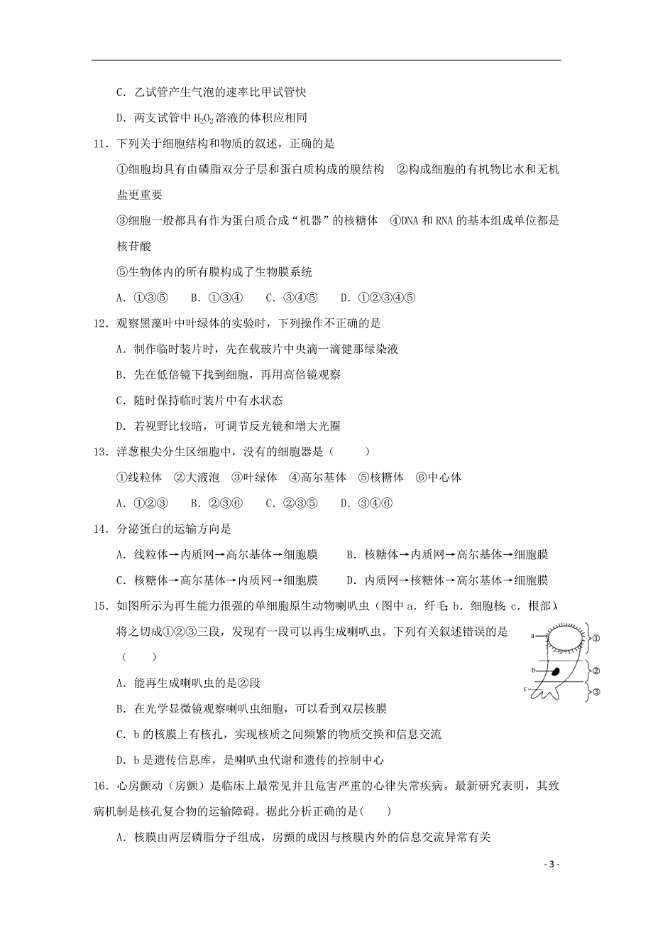 江西省南昌市八一中学洪都中学2018_2019学年高一生物上学期期末考试试题201903270134_第3页