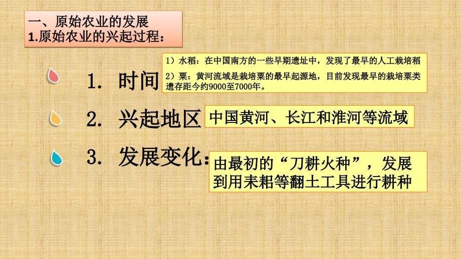 七年级历史上册第二课 原始农耕生活 课件_第5页