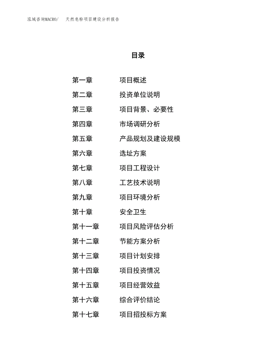 天然皂粉项目建设分析报告范文(项目申请及建设方案).docx_第1页