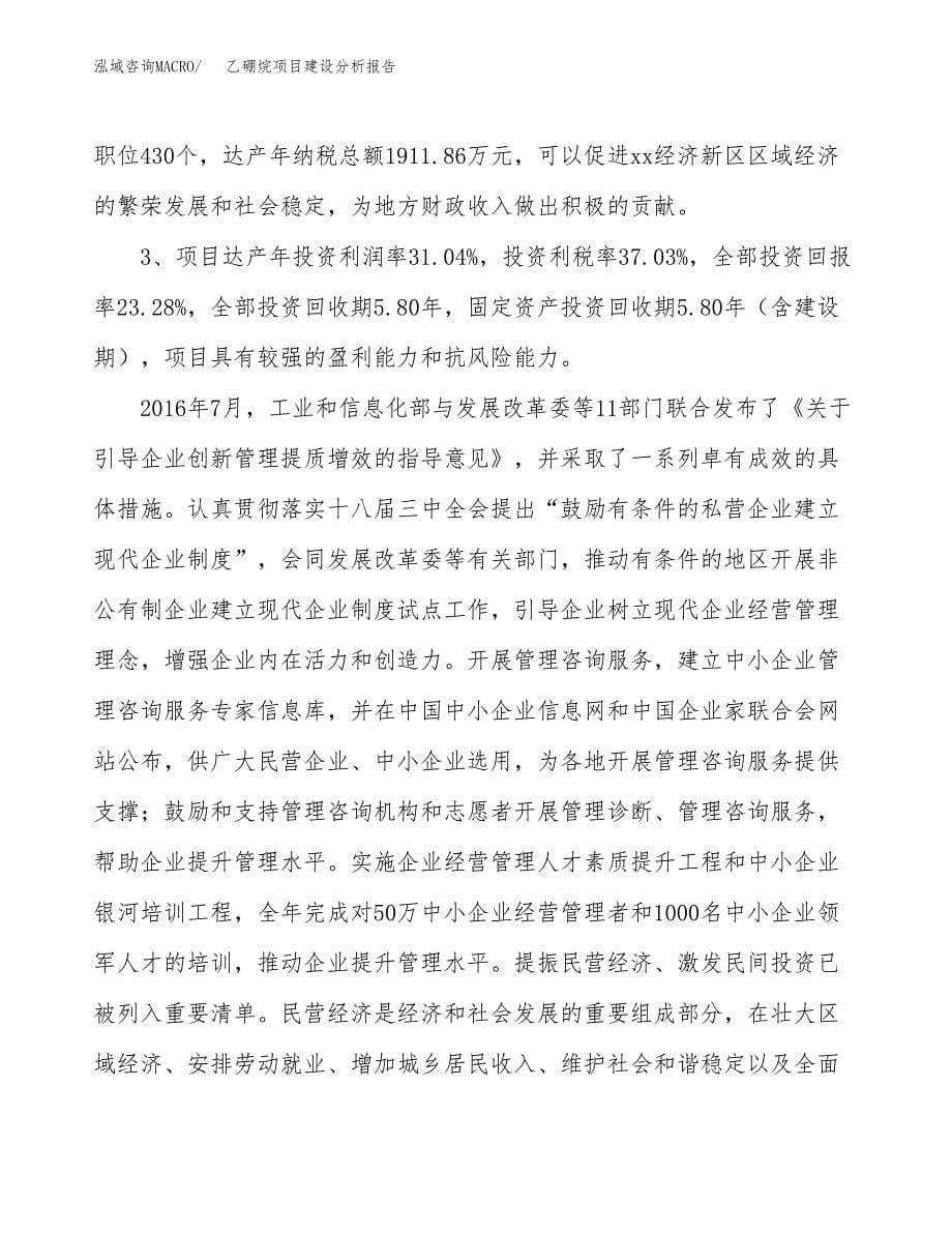 乙硼烷项目建设分析报告范文(项目申请及建设方案).docx_第5页