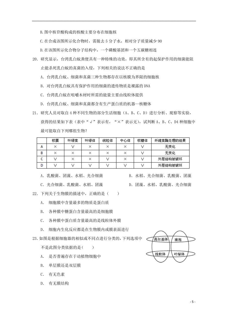 江西省南康中学2018_2019学年高一生物下学期第一次月考试题2019040101151_第5页