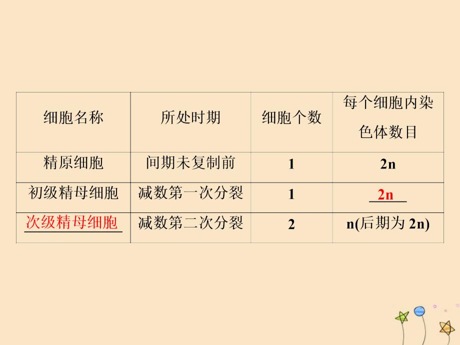 高中生物第二章染色体与遗传第一节减数分裂中的染色体行为第2课时精子与卵细胞的产生和受精减数分裂的意义课件浙科版必修2_第4页