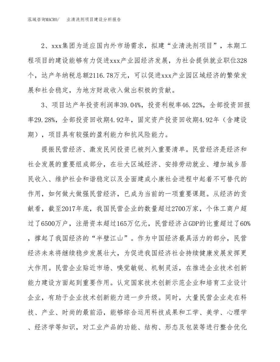 业清洗剂项目建设分析报告范文(项目申请及建设方案).docx_第5页