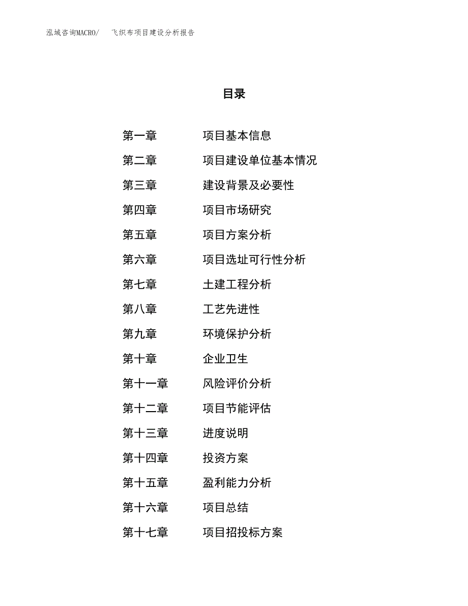 飞织布项目建设分析报告范文(项目申请及建设方案).docx_第1页