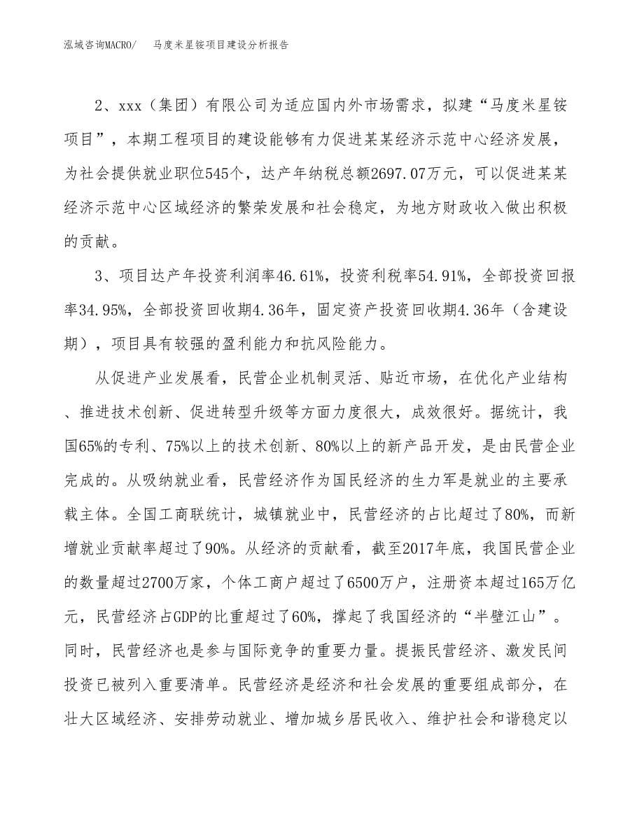 马度米星铵项目建设分析报告范文(项目申请及建设方案).docx_第5页