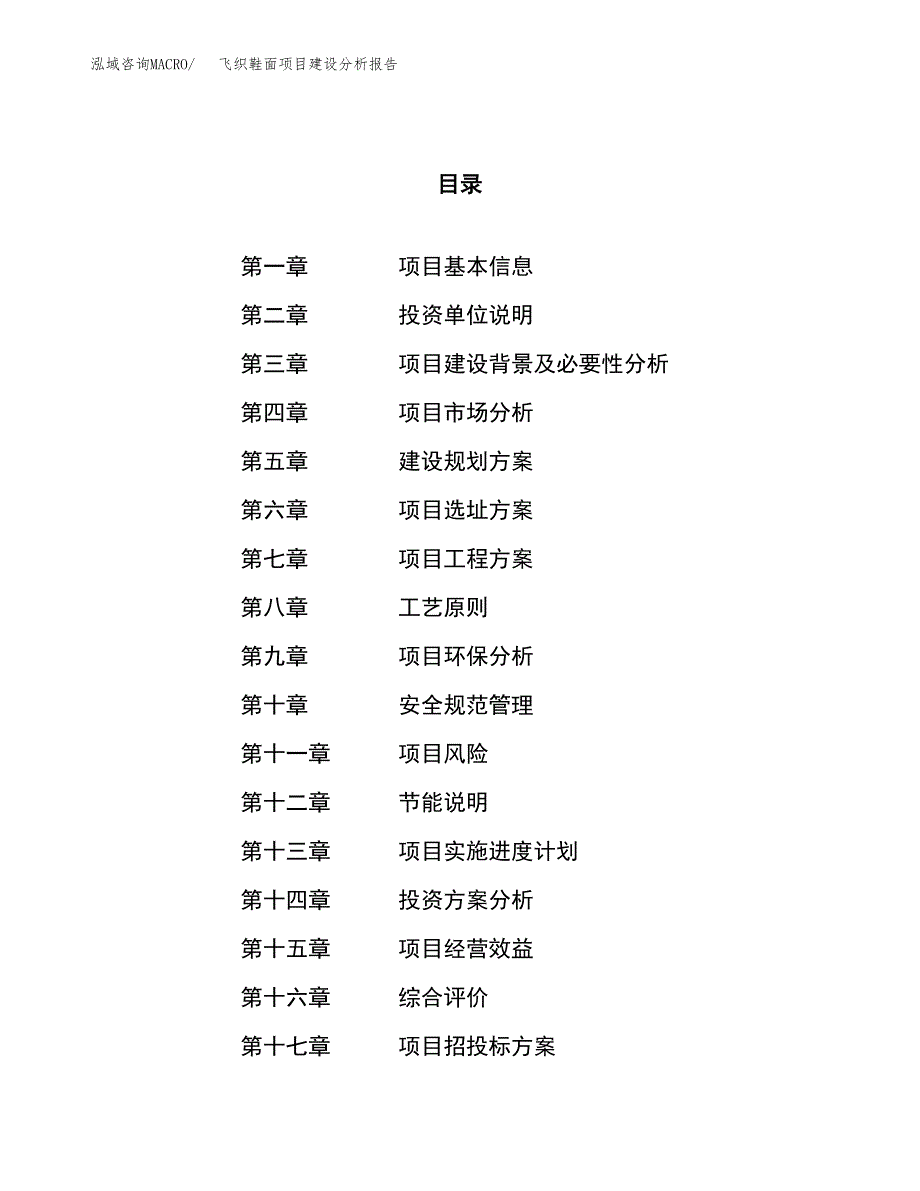 飞织鞋面项目建设分析报告范文(项目申请及建设方案).docx_第1页