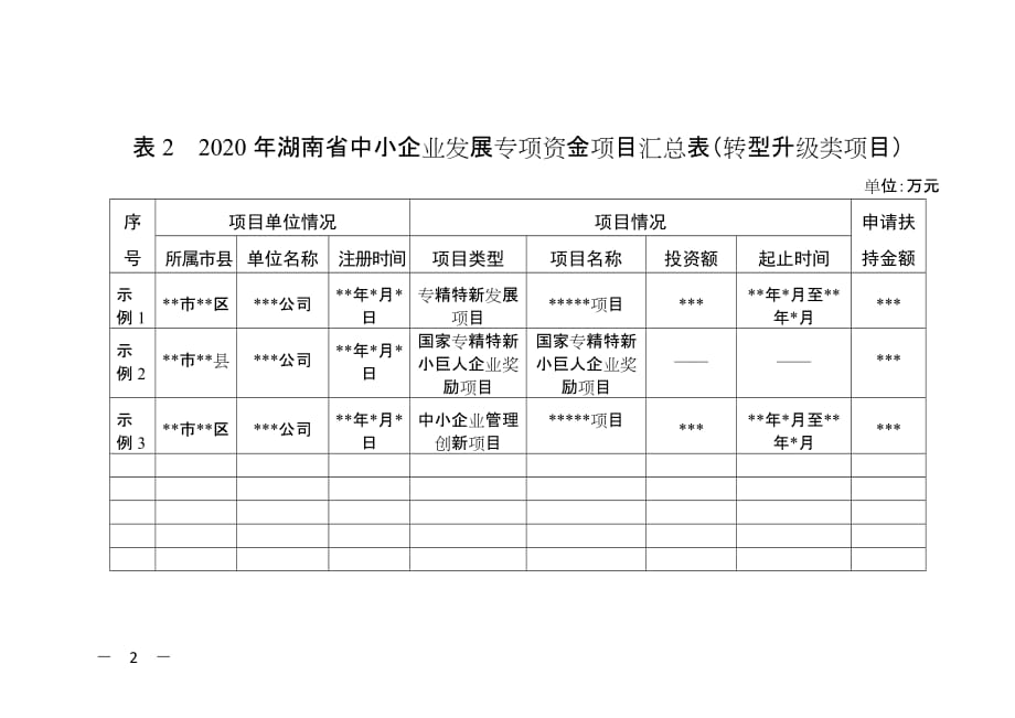 2020年湖南省中小企业发展专项资金项目汇总表_第2页
