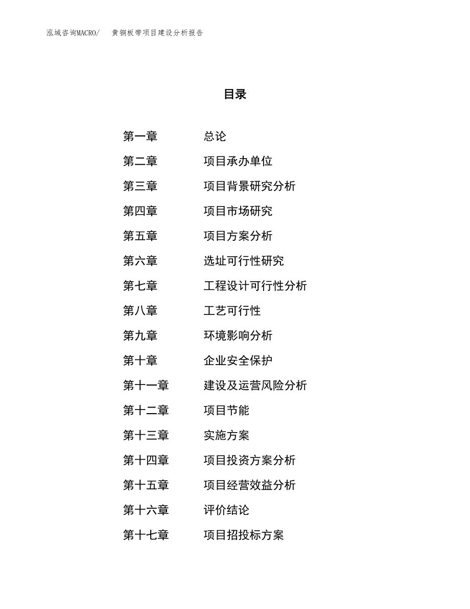 黄铜板带项目建设分析报告范文(项目申请及建设方案).docx_第1页