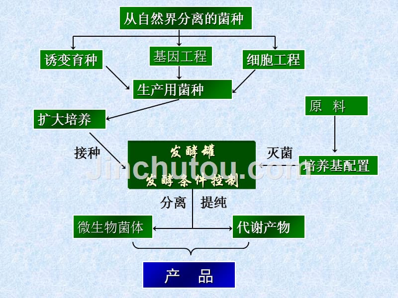 发酵机械与设备培训课件(ppt 104页)_第2页