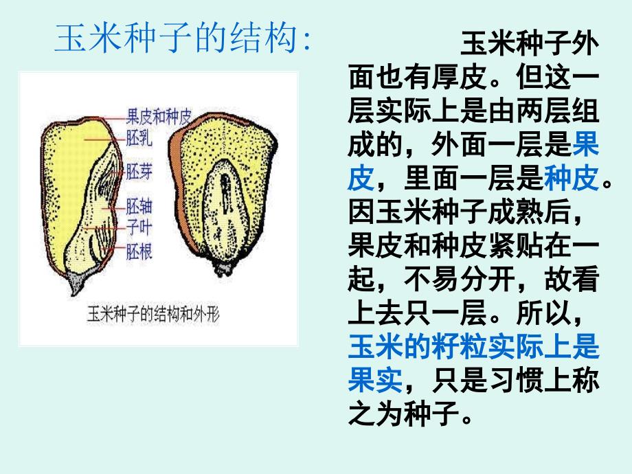 七年级上册第6章复习课件_第3页