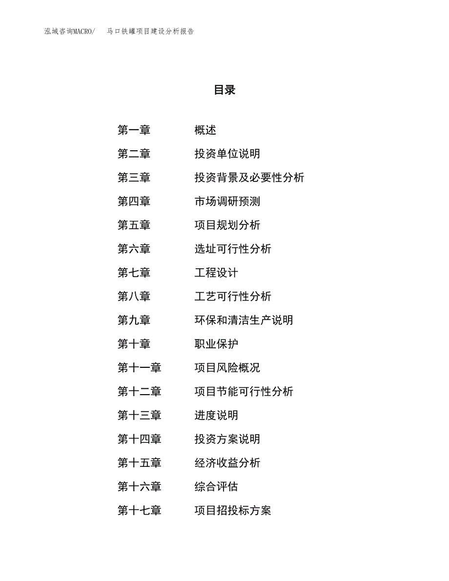 马口铁罐项目建设分析报告范文(项目申请及建设方案).docx_第1页