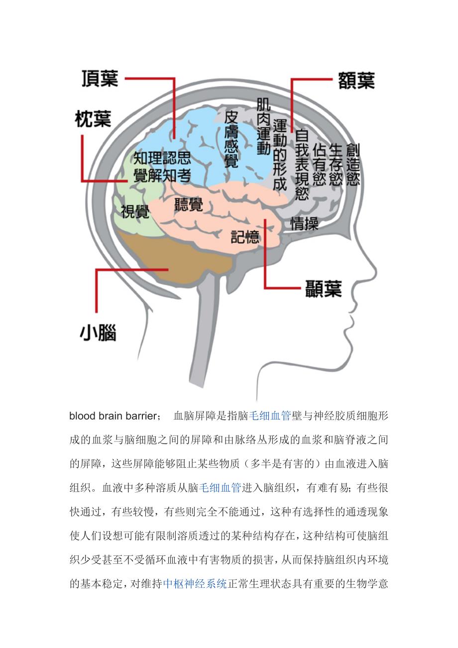 血脑屏障介绍_第3页