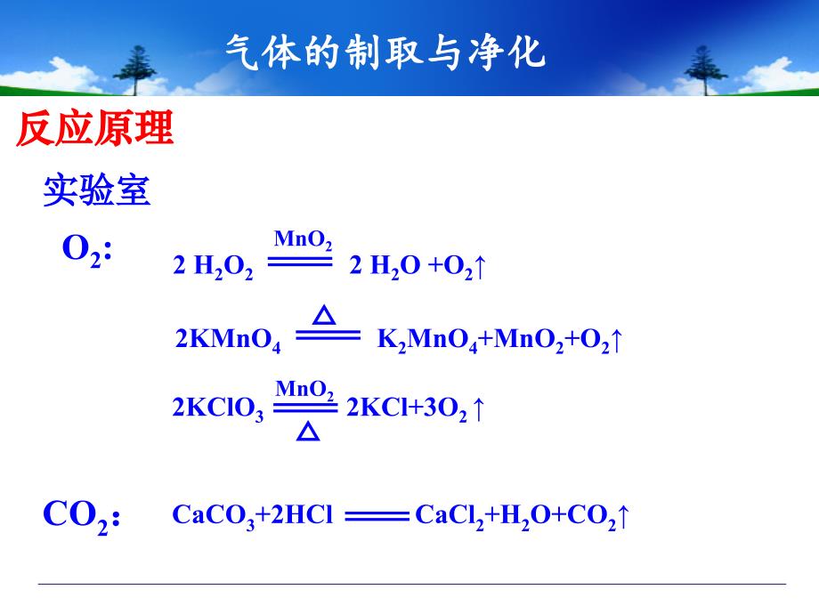 中考化学专题复习_气体的制取和净化_第2页