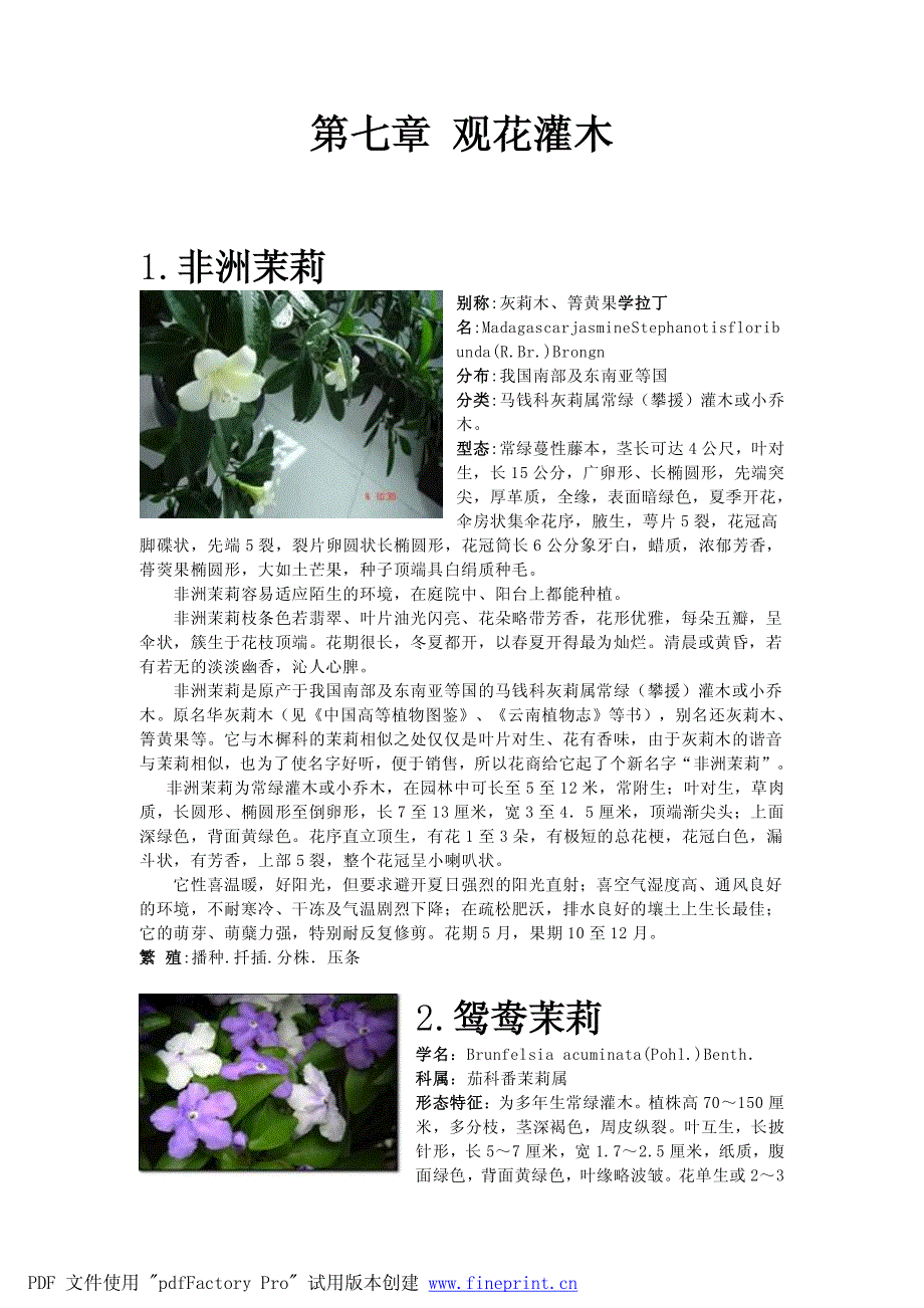 南方常见植物~观花灌木_第2页