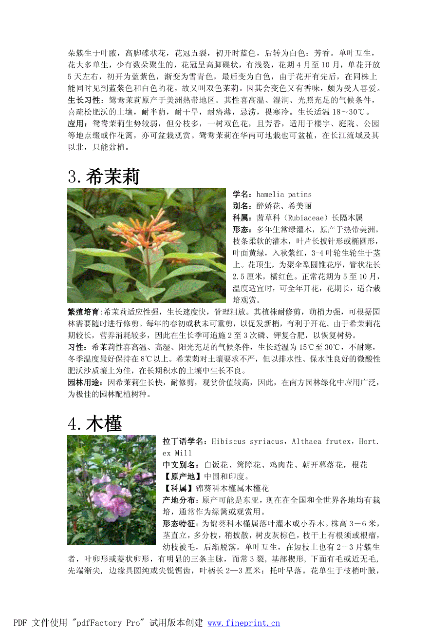 南方常见植物~观花灌木_第3页