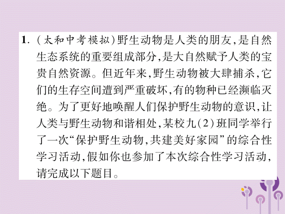 初三年级语文上册 专题5 综合性学习课件 新人教版_第2页