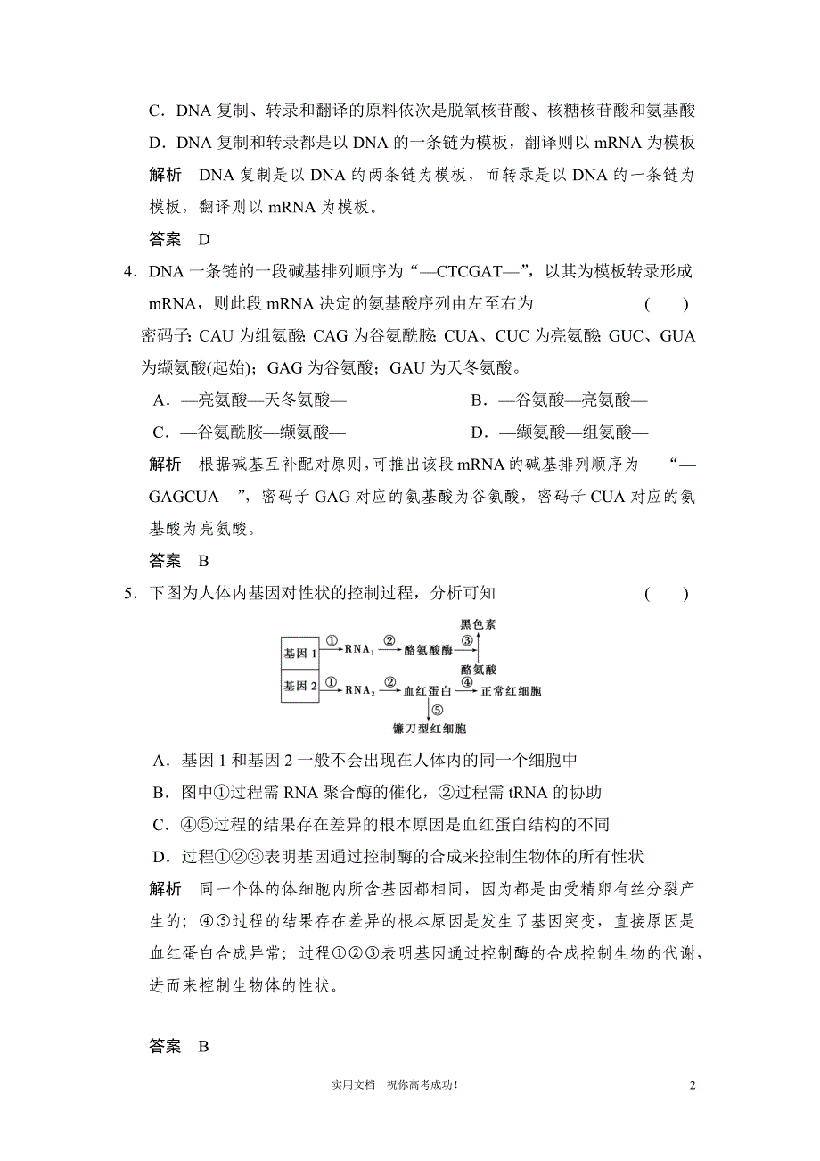 人教版 高考 生物一轮复习教案---必修2第2单元第3讲 基因的表达_第2页