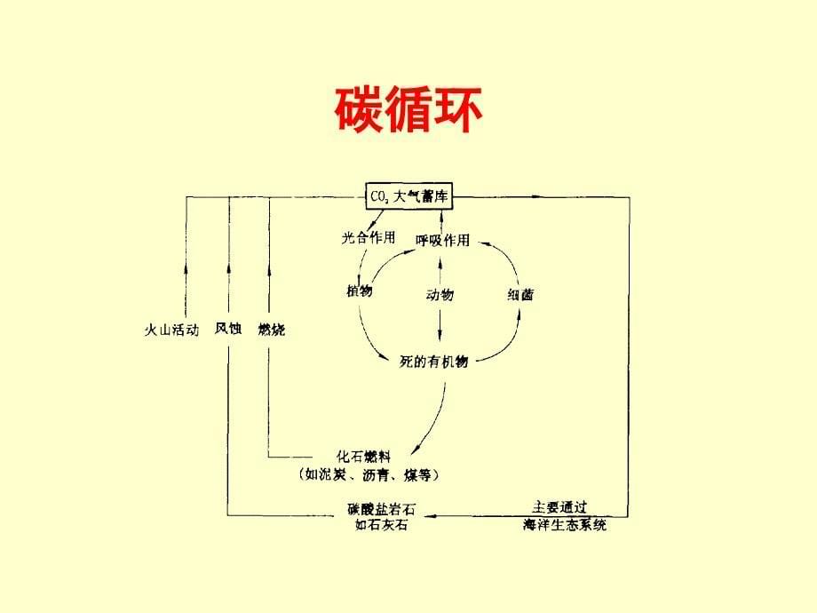 第三章土壤有机碳_第5页