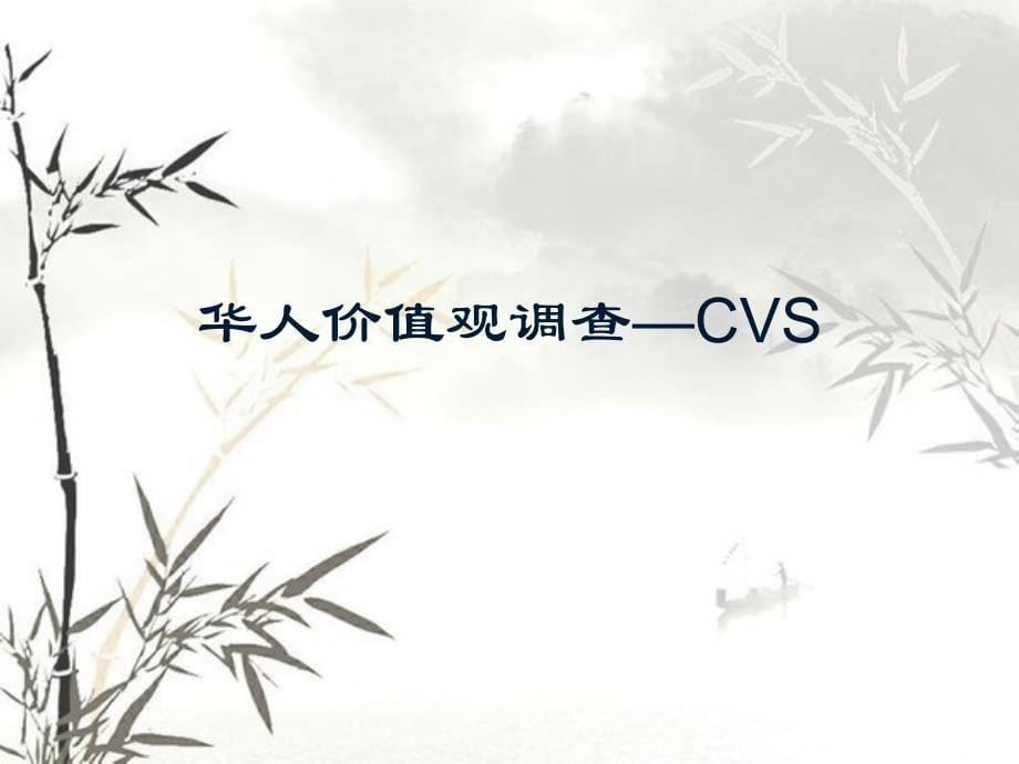 量表：RVS&CVS&WVS_第5页