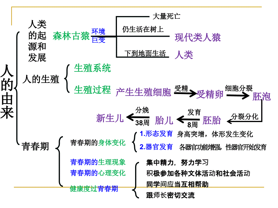 七下第一节食物中营养物质_第1页