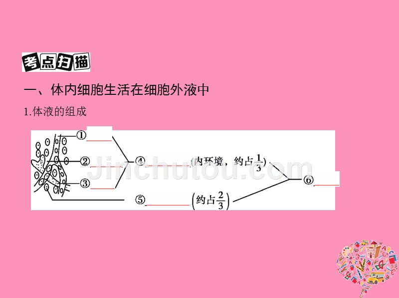 2019版高考生物一轮复习 第23讲 人体内环境的稳态与调节课件真题考点解析_第3页