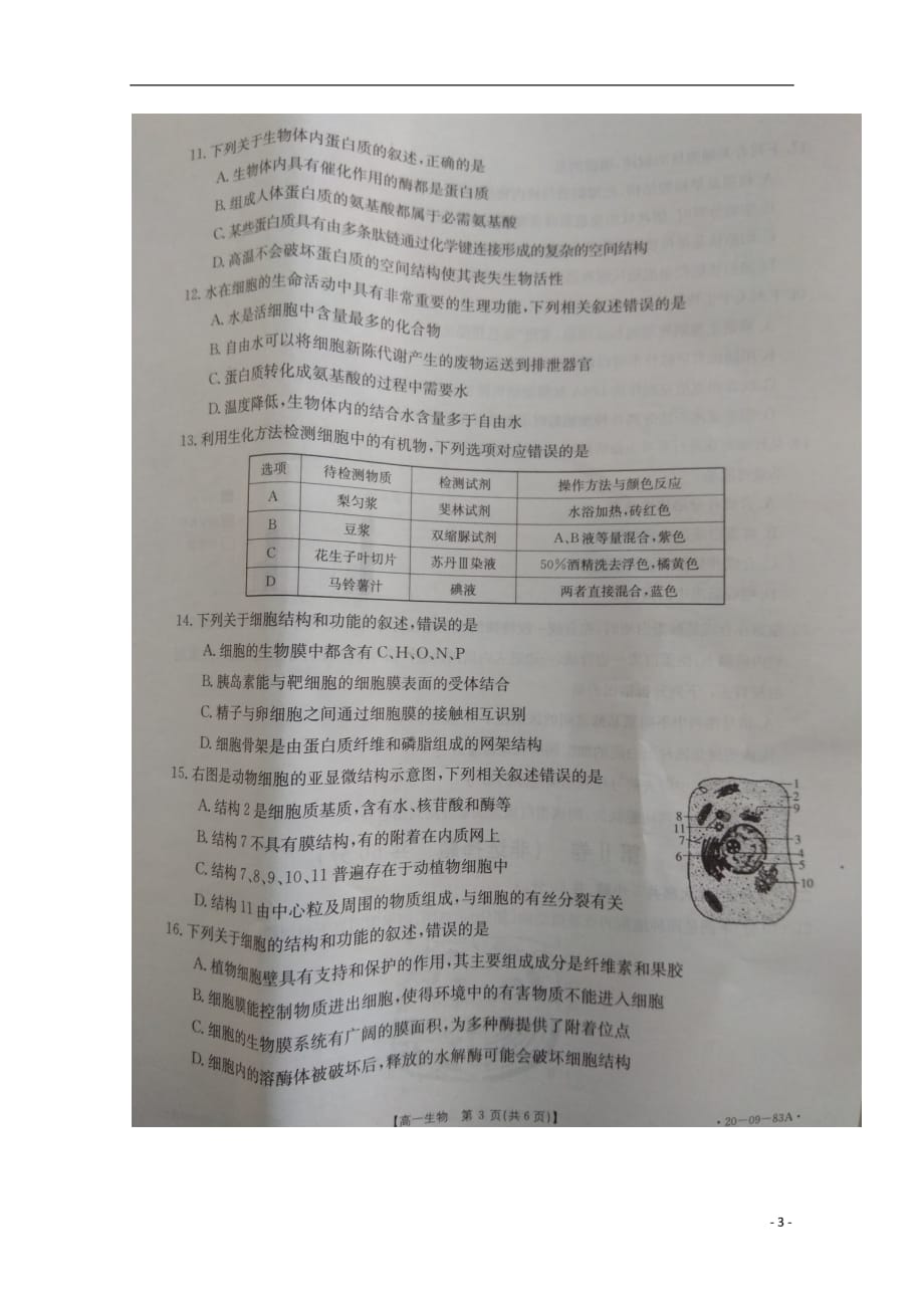 安徽省利辛县第一中学2019_2020学年高一生物上学期期中试题（扫描版）_第3页