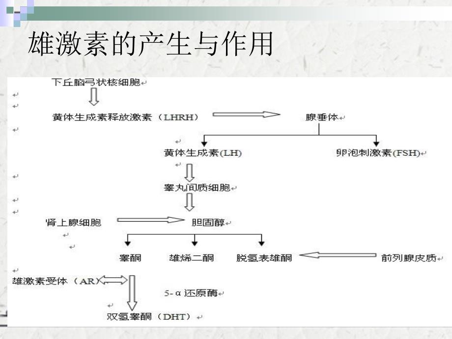 前列腺癌的内分泌治疗机制和方法_第3页