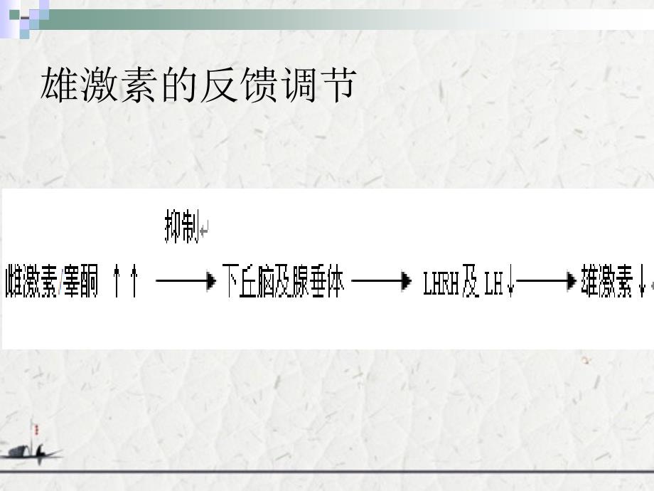 前列腺癌的内分泌治疗机制和方法_第4页